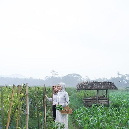 Balkondes Karanganyar Borobudur Hotel มาเกอลัง ภายนอก รูปภาพ