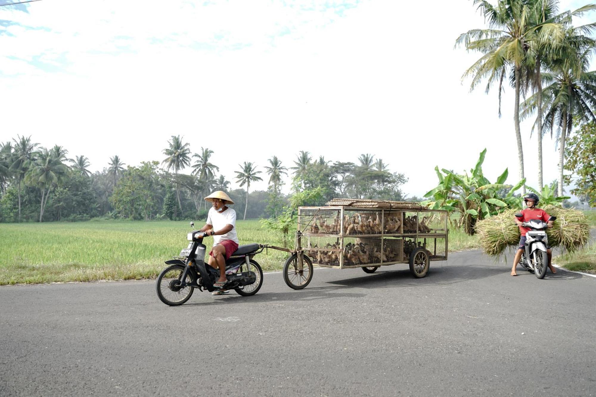 Balkondes Karanganyar Borobudur Hotel มาเกอลัง ภายนอก รูปภาพ